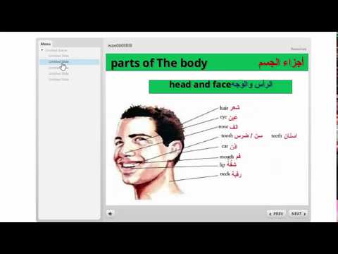 خطة مايكل يوسف للمبتدئين