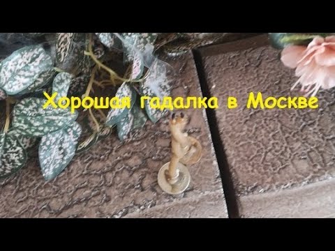 Хорошая гадалка в Москве