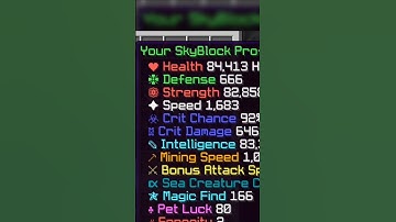 How I used a Bug to Become the Fastest Man in SkyBlock