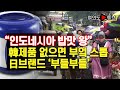 [여의도튜브] “인도네시아 밥맛 왕” 韓제품 없으면 부엌 스톱 日브랜드 '부들부들' /머니투데이방송