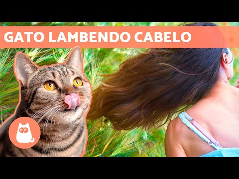 Vídeo: Como criar uma lagoa de peixe-gato