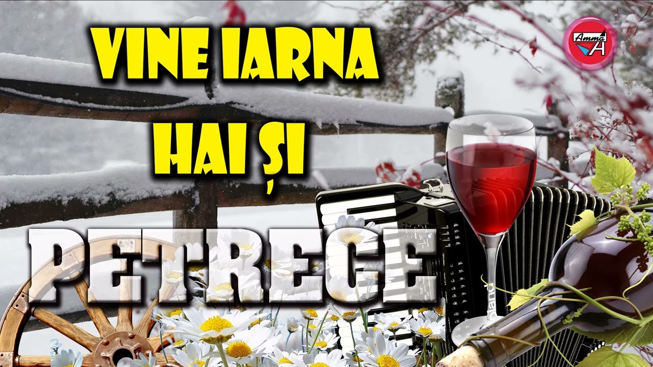 PETRECERE - VINE IARNA, HAI ȘI PETRECE