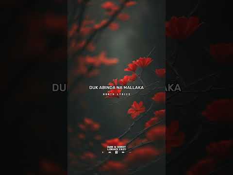 Umar M Shariff Lokaci Yayi Lyrics Hausamusic Lyrics