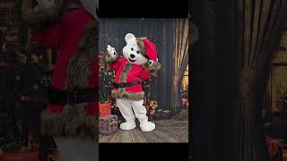 Мечка Кари 1/Bear Cary 1 #mascotmasters #mascots #christmas #costume #коледа #парти #bear #party