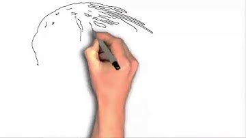 Easy Sketch Pro Smooth Sketch to Video Transition