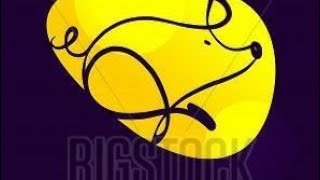 Chinese Zodiac Year of the Pig, Earth Boar, February 5th 2019 through January 24th 2020 & Prediction