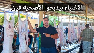 دبحت الأضحية في المزرعة في نص ساعة | وأجواء صلاة العيد من الشيخ زايد