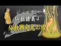 佐々木閑の仏教講義 ４「仏教再発見の旅　１」（「仏教哲学の世界観」第７シリーズ）