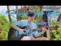 Eenie Meenie - Sean Kingston, Justin Bieber Fingerstyle Guitar ( PyaePhyoSan )