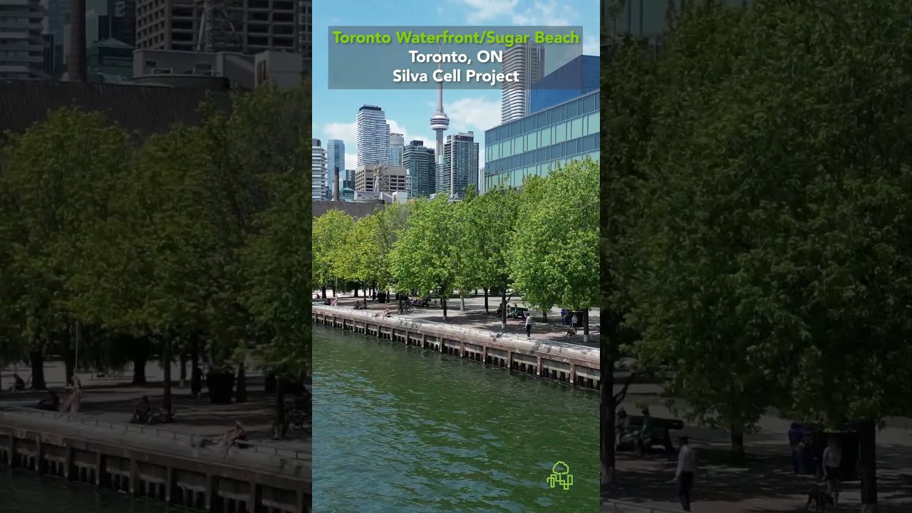 Urban Waterfront Resiliency