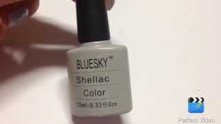 Shellac Bluesky #40528