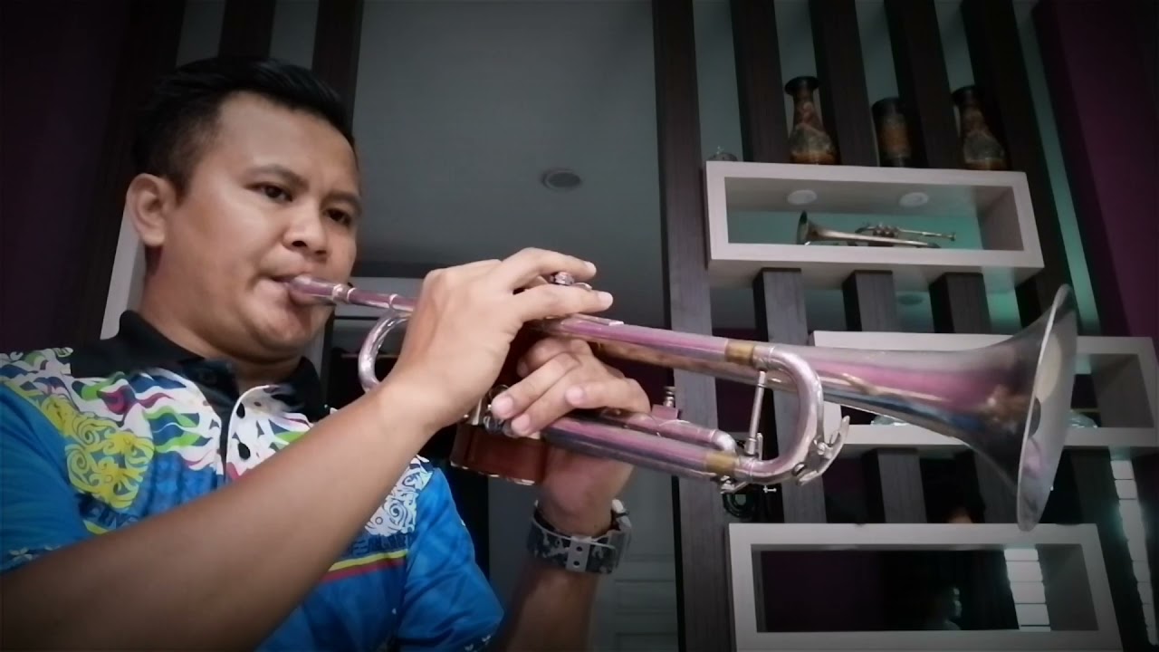One Moment In Time-Whitney Houston (Trumpet Cover)