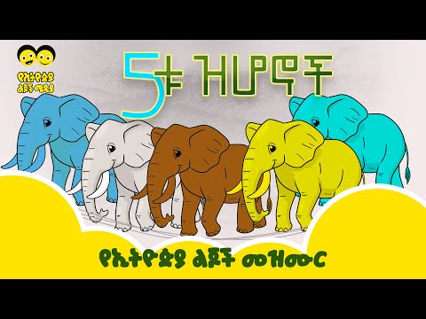 ቪዲዮ: ዝሆኖች የሚታለሉት የት ነው?