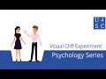 Visual cliff experiment learn to see  psychology series  academy 4 social change