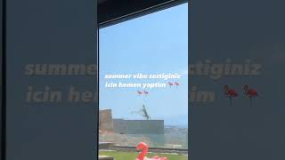 Çakal - Flamingo (Yeni Şarkı Summer Vibe)