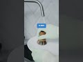Vinagre blanco: mejor antical 🚿