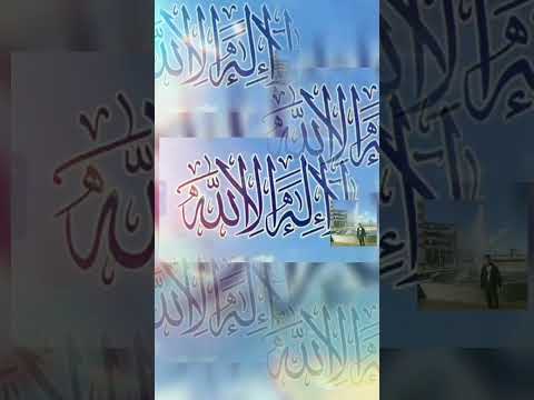 ١١ أكتوبر ٢٠٢٥