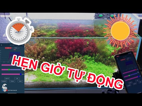 Video App My Chihiros WRGB2 cách chỉnh tg hẹn giờ -Thủy sinh... - youtube