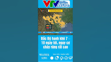 Bắc Bộ hanh khô 7 – 10 ngày tới, nguy cơ cháy rừng rất cao | VTVWDB