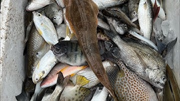 Đi test máy kích cá nước mặn thực tế…0985802199