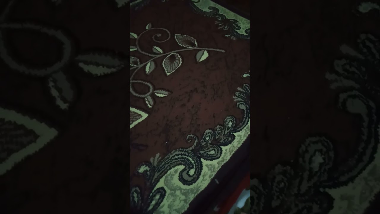 زهيه داوود جابوا اخرهم قنوات النقص الماجورين#حلميه خبيثه وكله لحمها#متصبيه 👍 احمد عبد العال قابض