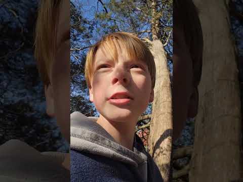 Exploring creepy woods behind Peyton house - YouTube
