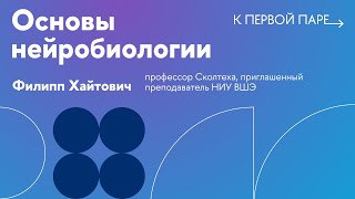 видео: К первой паре / Основы нейробиологии. Лекция 1. Введение в функции, эволюцию нервной системы. Часть1 картинка: К первой паре / Основы нейробиологии. Лекция 1. Введение в функции, эволюцию нервной системы. Часть1