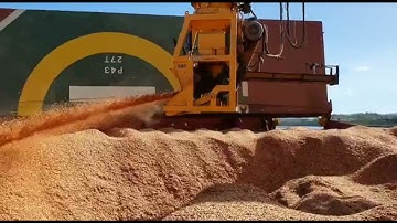 LOADING WOOD CHIPS #WAIRIKI,FIJI