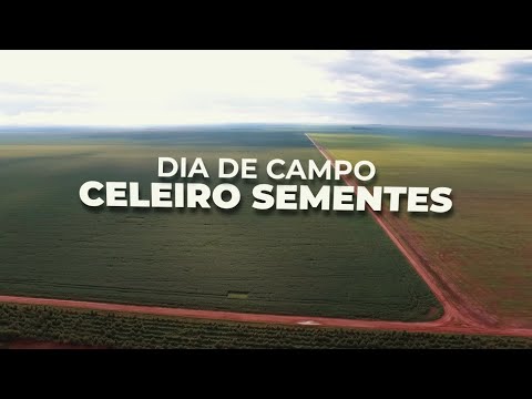 Vídeo: Celeiro No Campo