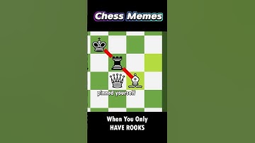 Does the Queen Like the Ladder Checkmate? | Chess Memes