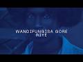 FREE CLASSIC ZIMBABWEAN AFRO BEATS Wandifungisa Gore Riye