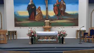 Living Your Baptismal Call: Shrewd as Serpents, Simple as Doves
