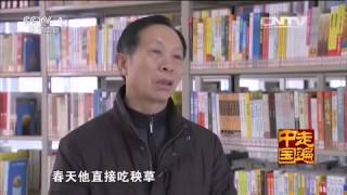 20150428 走遍中国 10集系列片特产传奇(8)——扬中珍品救命草