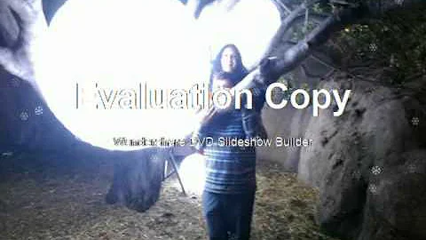 My Movie