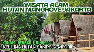 KONDISI TERBARU TAMAN WISATA ALAM HUTAN MANGROVE JAKARTA | JUNI 2021