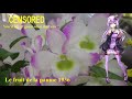 【Yuzuki Yukari】椰子の実 1936;The fruit of the palm 1936【Vocaloid 5】結月ゆかり