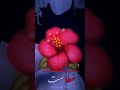 اگر به این حرف باور داری پس بنویس البه اکبر #afghanistan #شعر #musicmashup #unfrezzmyaccount