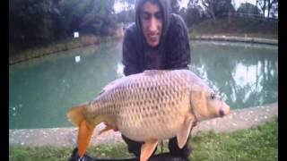 session rapide peche carpe en canal