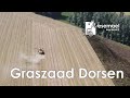 Graszaad Dorsen Juli 2021