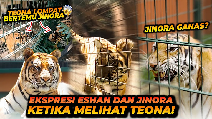 TEONA DI PERTEMUKAN KE ESHAN JINORA ! GIMANA REAKSINYA YA ? CAKAR TEONA TAJEM BANGET !