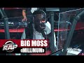 Exclu big moss millimum planterap