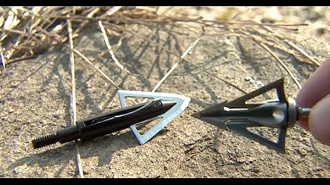 Fixed or Expandable: Which Broadhead is Best for Deer Hunting?