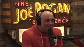 Joe Rogan Ben Burgis Talk About Michael Brooks On JRE