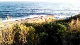 WP 20130202 152948Z