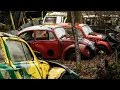 VOLKSWAGEN GRAVEYARD: Vintage, Army & Rally Cars - Urbex Lost Places Abandoned Belgium