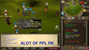 Roat Pkz Best RSPS SPAWN PK SERVER WEBCLIENT :D