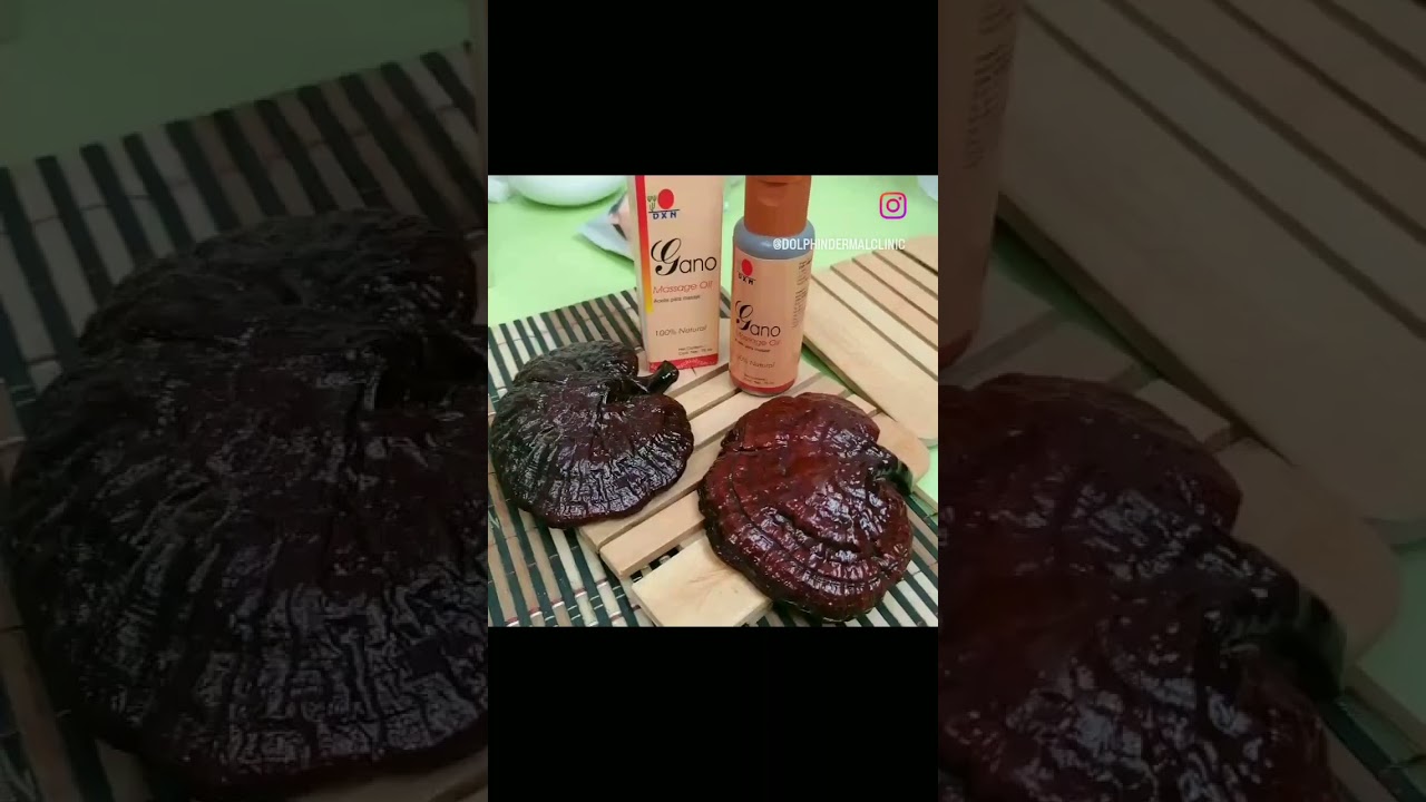 Gano Massage oil availabl 