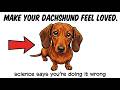 Psychology of How Dachshunds Feel Your Love (7 Ways To Show It Daily)