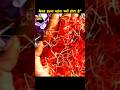 Why is saffron so expensive 💸 #viral