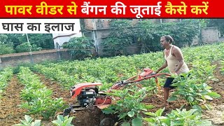 Power Tiller Se Baigan Ki Jootai Power Weeder Demo Baigan Ki Kheti Grafted Baigan Ki Kheti